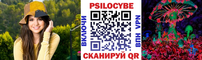 Псилоцибиновые грибы мицелий  Моршанск 