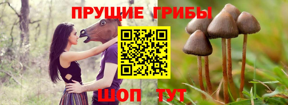 Псилоцибиновые грибы Cubensis  Вход с VPN  Моршанск 