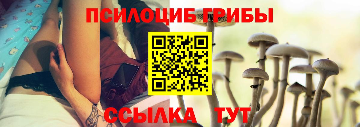 Псилоцибиновые грибы Psilocybine cubensis Моршанск